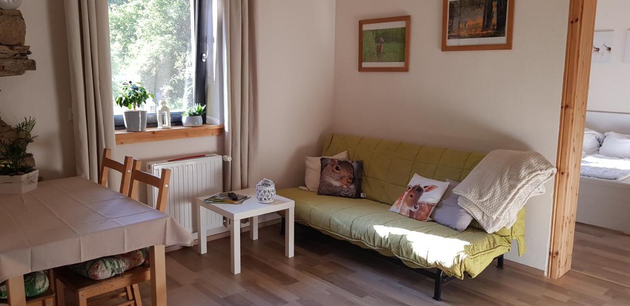 Neumuehle Ferienwohnung 2 Lutzerath 外观 照片